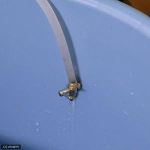 点滴法で生体にやさしい 水抜き・水合わせキットの詳細画像2