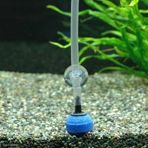 点滴法で生体にやさしい 水抜き・水合わせキットの詳細画像3