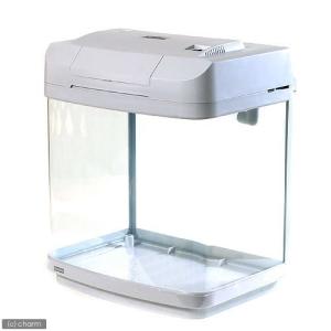 お一人様１点限り　カルディア　アクロス　４３２（割れ物）　関東当日便