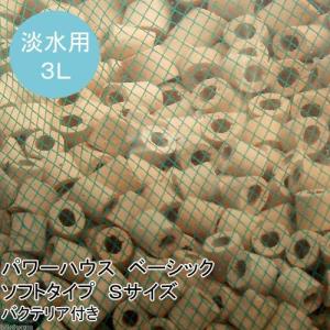 パワーハウス　ハードタイプ　Ｌサイズ パワーハウス ハードタイプ Lサイズ 淡水海水両用 5リットル pH上昇