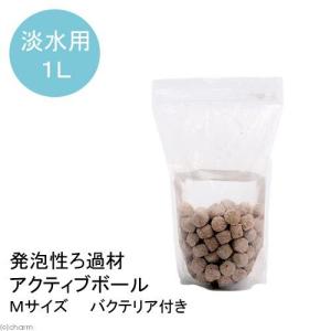 Leaf Corp パッケージなし エーハイム メック 1L : チャーム charm
