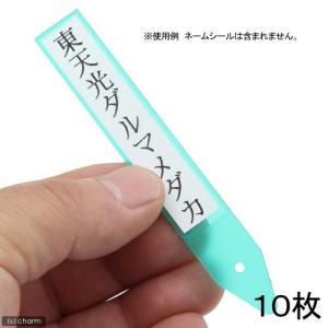 メダカ用ネームプレート(グリーン) 10枚の商品画像