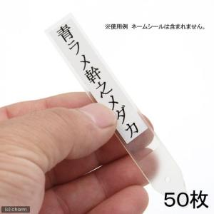 メダカ用ネームプレート 50枚