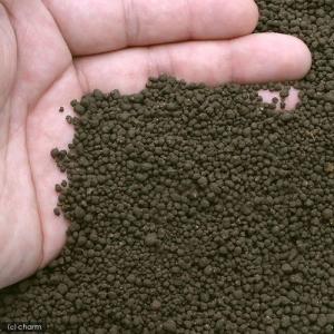 シラクラ RED BEE SAND(レッドビー...の詳細画像1