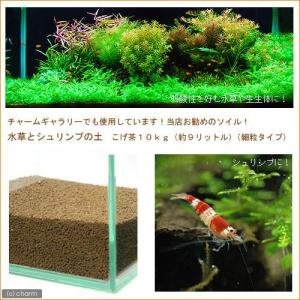 水草とシュリンプの土　こげ茶　約１０リットル　（細粒タイプ）　熱帯魚　用品　ソイル