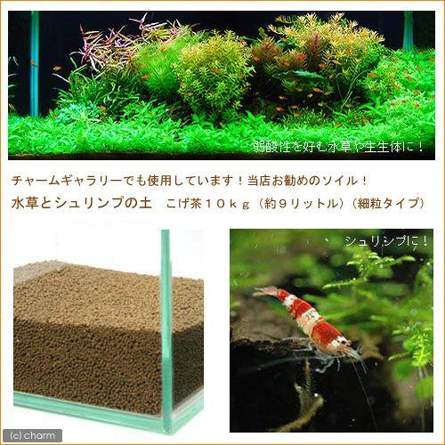 水草とシュリンプの土　こげ茶　約１０リットル　（細粒タイプ）　熱帯魚　用品　ソイル