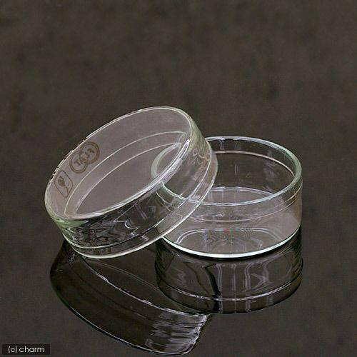 ガラス製　フラットシャーレ　４６ｍｍ　昆虫　標本用品