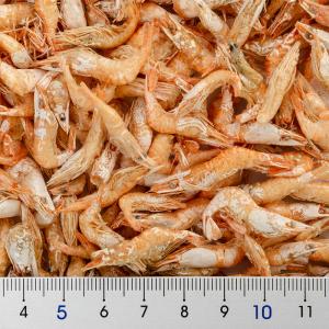 キョーリン 乾燥川エビ カメのごほうび 12g...の詳細画像1