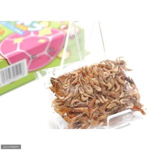 コメット カメのおやつ お徳用 8g×5袋入りの詳細画像1