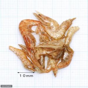 コメット カメのおやつ お徳用 8g×5袋入りの詳細画像2
