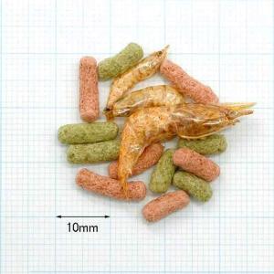 コメット カメサクッ! お徳用 130g 餌 エサの詳細画像1