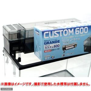 ＧＥＸ　上部フィルター　グランデカスタム６００　６０ｃｍ水槽　ジェックス　メダカ　お一人様２点限り　｜chanet