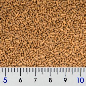 キョーリン 咲ひかり 金魚 育成用 沈下 20...の詳細画像1