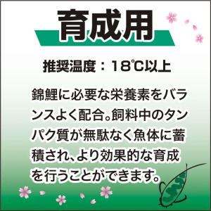 緑 キョーリン 咲ひかり金魚 育成用 沈下 1...の詳細画像5