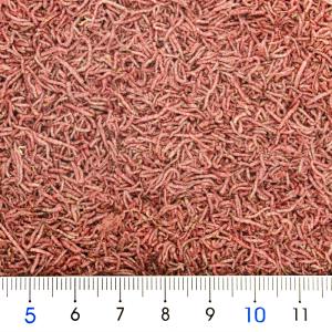 キョーリン 乾燥赤虫(アカムシ) 5g エサ ...の詳細画像1