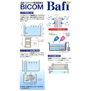 バイコム バフィー(菊花棒状)の詳細画像2