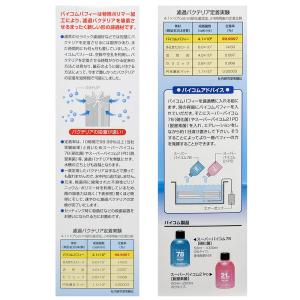 バイコム バフィー(菊花棒状)の詳細画像2