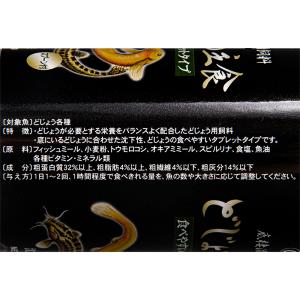 コメット どじょうの主食 50gの詳細画像2