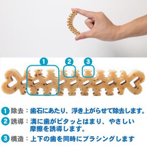 フォーキャンス デンティ・スリーフェアリー S...の詳細画像2