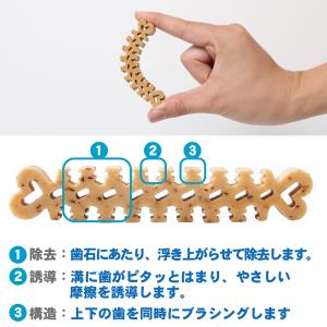 フォーキャンス デンティ・スリーフェアリー L...の詳細画像2