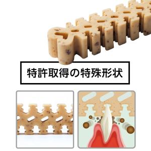 フォーキャンス デンティ・スリーフェアリー L...の詳細画像3