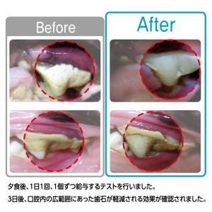 フォーキャンス デンティ・スリーフェアリー L...の詳細画像4