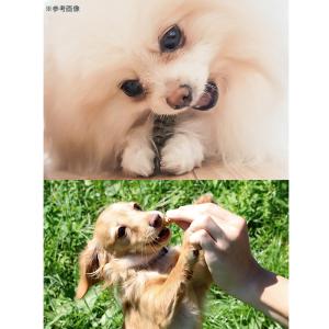 フォーキャンス デンティ・スリーフェアリー L...の詳細画像5