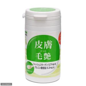 TAURUS（トーラス） 犬 サプリ ドッグBS お徳用 1g×60包