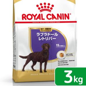 �X�e�A���C�Y�h3kg