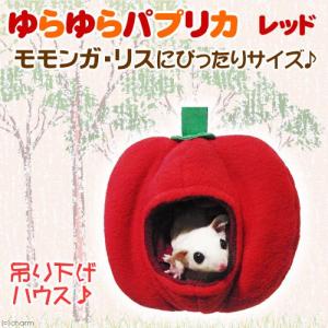 レインボー ミニミニとんがりハウス メッシュ レッド デグー モモンガ