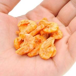 JUN プレミアムクリル セレクト 82g 大...の詳細画像1