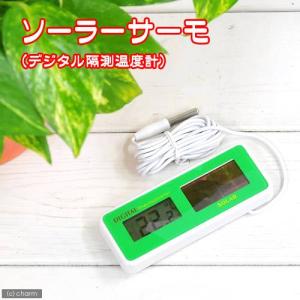 水温計 ソーラーサーモ(デジタル隔測温度計) 水温計の詳細画像5
