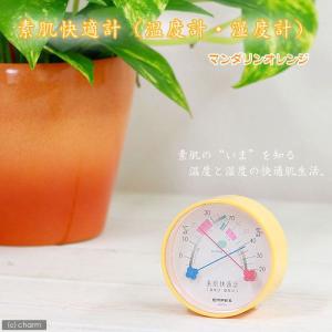 温湿度計