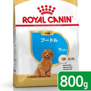 ロイヤルカナン　プードル　子犬用　８００ｇ　３１８２５５０７８８１３７　ジップ付　お一人様５点限り｜chanet