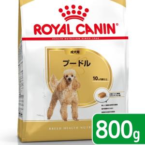�����p800g
