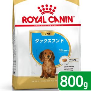 ロイヤルカナン　ダックスフンド　子犬用　８００ｇ　３１８２５５０７８８１１３　ジップ付　お一人様５点限り｜chanet