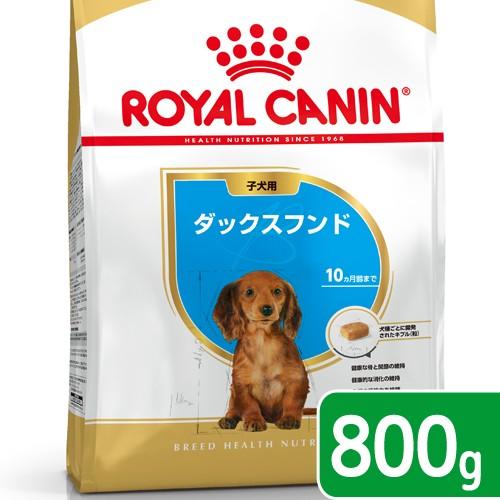ロイヤルカナン　ダックスフンド　子犬用　８００ｇ　３１８２５５０７８８１１３　ジップ付　お一人様５点...