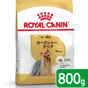ロイヤルカナン ミニ インドア アダルト 10ヵ月齢以上 ( 800g