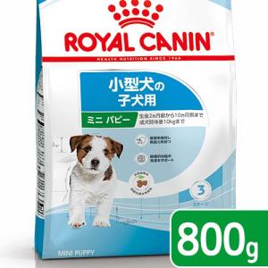 【ロイヤルカナン】ミニインドアパピー 10kg Amazon | ロイヤルカナン SHNミニ インドア パピー(室内で生活