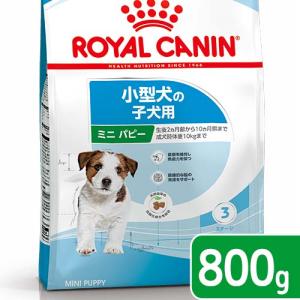 ロイヤルカナン　ミニ　パピー　子犬用　８００ｇ　３１８２５５０７９２９２９　ジップ付　お一人様５点限...