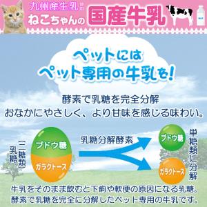 キャティーマン ねこちゃんの国産牛乳 200m...の詳細画像2