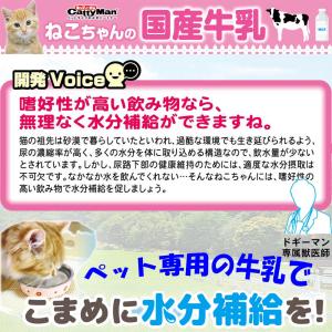 キャティーマン ねこちゃんの国産牛乳 200m...の詳細画像4
