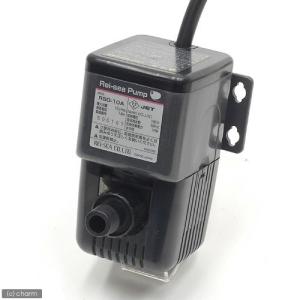 レイシー RSD-40A 60Hz 水陸両用ポンプ 流量毎分40L 送料無料 管理80