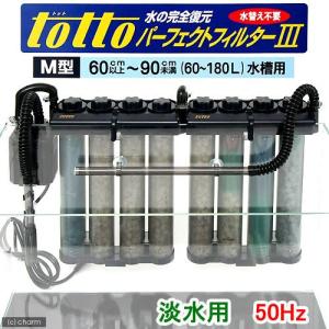 トット パーフェクトフィルター ミニミニ(SS型)ポンプ トット パーフェクトフィルター ミニミニ(SS型)ポンプ