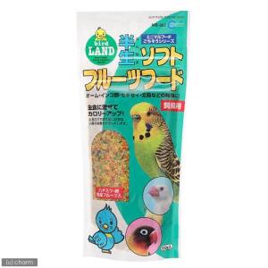 マルカン　半生ソフトフルーツフード　１００ｇ　飼鳥用　鳥　おやつ　フルーツ