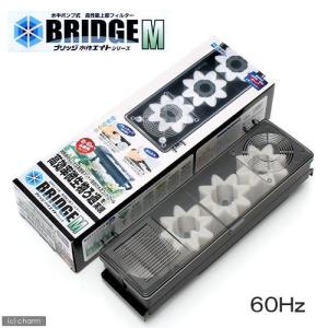 ６０Ｈｚ　水作エイト　ブリッジＭ　６０Ｈｚ（西日本用）　４５～６０ｃｍ水槽用上部フィルター　関東当日便