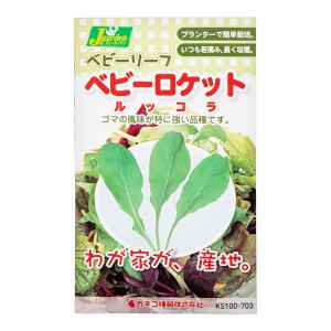賞味期限：２０２４年４月３０日　ベビーリーフタネ　ベビーロケット　ルッコラ　家庭菜園　訳あり