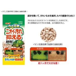アウトレット品 GEX カメ元気 ニオイ・汚れ...の詳細画像1