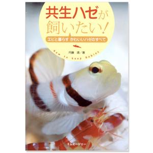 共生ハゼが飼いたい！　書籍｜chanet