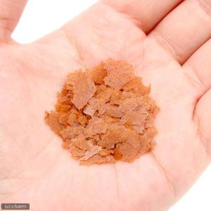 キョーリン ネオプロス 150g 小型熱帯魚向...の詳細画像1